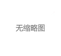 深圳大圈资源运输链条